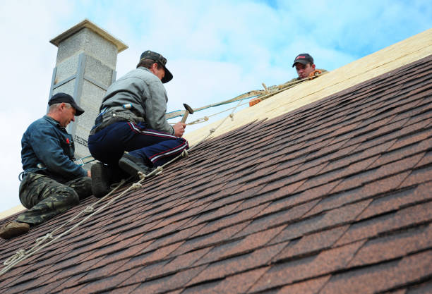 Best Local Roofing Companies  in Greybull, WY